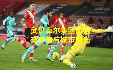 武汉卓尔集团的足球梦想与城市荣光