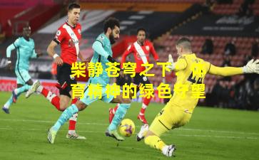 柴静苍穹之下：体育精神的绿色守望