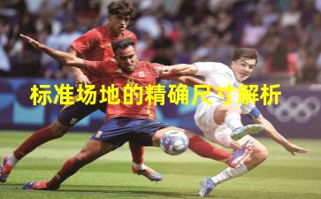 标准场地的精确尺寸解析