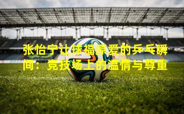 张怡宁让球福原爱的乒乓瞬间:竞技场上的温情与尊重