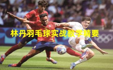 林丹羽毛球实战教学精要