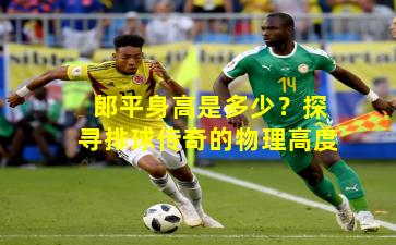 郎平身高是多少？探寻排球传奇的物理高度